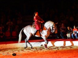 Circus YAKARI am 28.09.2024